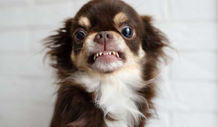 Don’t Panic Mr Mainwaring, Don’t Panic.